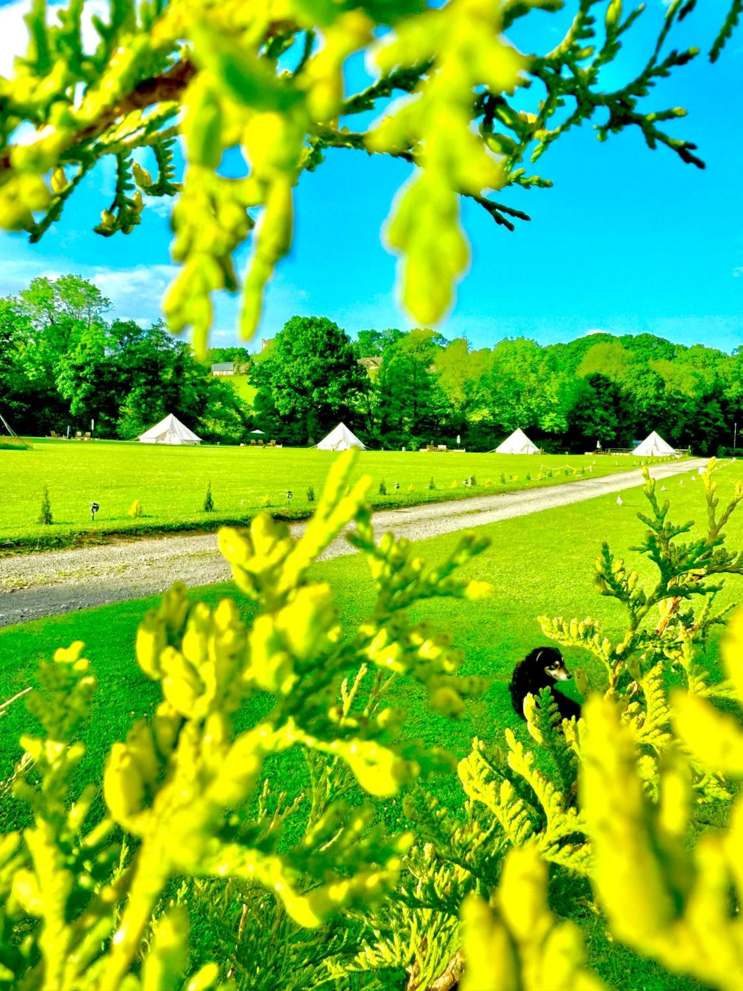 Cayoretreat Luxury Bell Tent Clodock Экстерьер фото